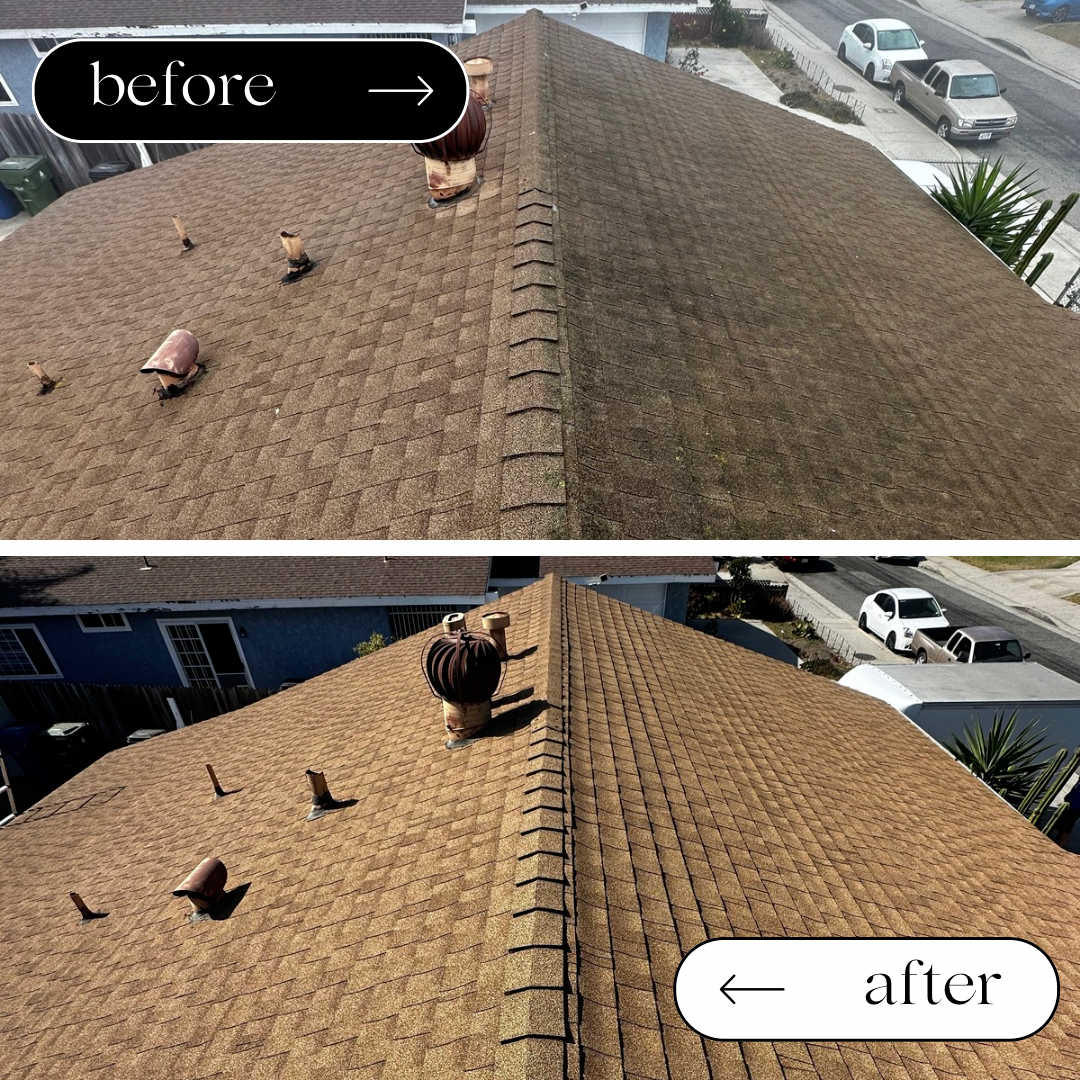 Top Quality Roof Cleaning Treatment Performed in Harbor City, CA