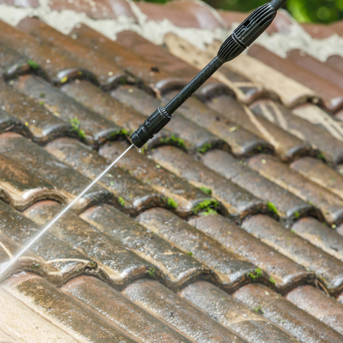 Roof Cleaning Image